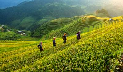 Hanoi, Halong & Sapa - 7 days — 2
