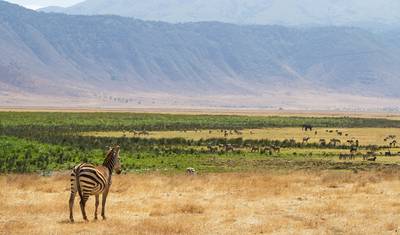 Tanzania & Zanzibar (Accommodated) - 10 days — 2