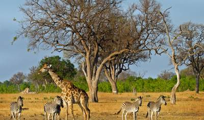 Zimbabwe & Mozambique Discovery - 14 Days — 4