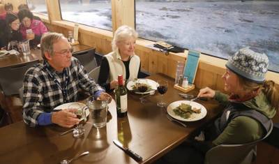 Niedźwiedzie polarne w Churchill w Tundra Buggy Lodge — 5