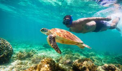Philippine Islands Adventure - 13 days — 3