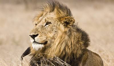 South Africa Adventure - 12 days — 2