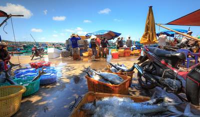 Vietnam Vacation in Phu Quoc Island 7 Days — 5