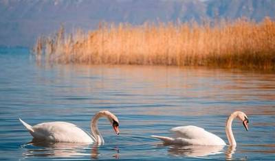 De Tirana, Excursão de um dia: Sítio UNESCO Lago Ohrid e Mosteiro de São Naum — 2