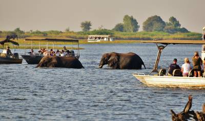 Wilderness of Southern Africa: Safari by Land & Water  (Johannesburg to Victoria Falls) (2026) — 3