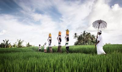 Przygoda na Sulawesi: kultura Tana Toraja — 2