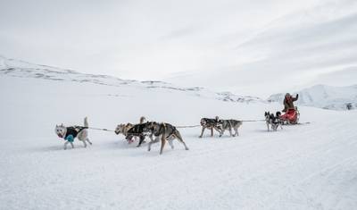 Alaska zimą: Zorza Polarna i Przygoda z Psich Zaprzęgami — 2