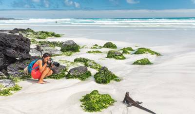 Solo-ish Ecuador & Galapagos — 2