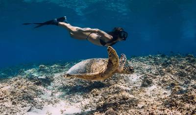 13日間 バリ島、ロンボク島、フローレス島 魅惑の旅 — 3