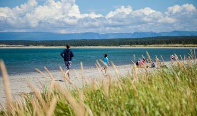 Discover Newfoundland: A Scenic Self-Drive Adventure — 3