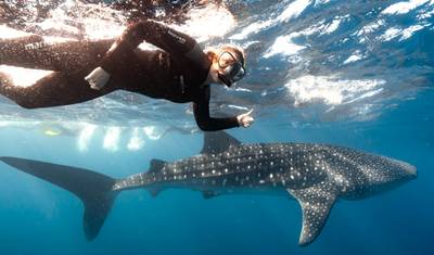 7 Days Maldives Dream Escape: Sun, Sand, and Snorkeling Bliss — 4