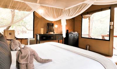 رحلة سفاري هجرة الحيوانات في تنزانيا لمدة 10 أيام (من أروشا إلى أروشا) باستخدام Good Lodges – شامل بالكامل — 2