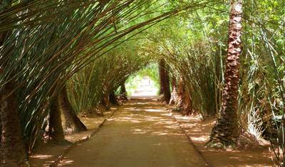 Fort-Dauphin and its wonders — 2