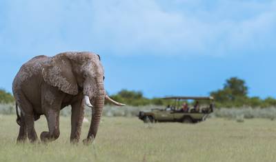 The Great Migration Odyssey: Kenya & Tanzania in 13 Days — 2