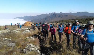 8-Day Lemosho Route — 5