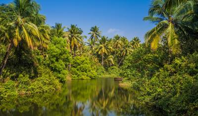 India: Kochi & Goa's Golden Beaches — 3