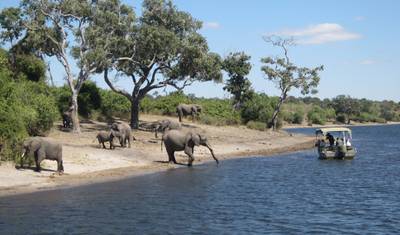Explorando a África do Sul, as Cataratas Vitória e Botsuana (De Joanesburgo à Cidade do Cabo) (2026) — 4