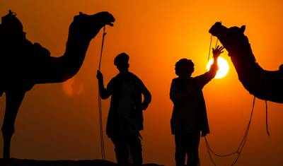 Pushkar Fair Extravaganza: A Cultural & Heritage Tour — 5