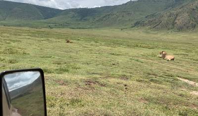 Excursão de Safári em Grupo de 3 Dias para Tarangire e Cratera de Ngorongoro, Tanzânia — 4
