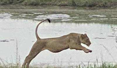7-dniowe safari poślubne: Dzika przyroda Tanzanii i luksusowy wypoczynek — 5