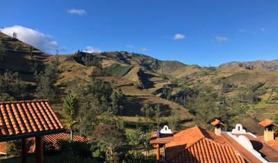 An Andean Adventure: From the Highlands to the Cloudforest — 4