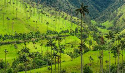 Colombia ~ The Land of Magical Realism ~ Guided Trek (All Inclusive) — 2