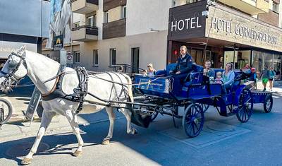 8 Days Switzerland Panoramic Tour, Daily Start &  Self-guided — 5