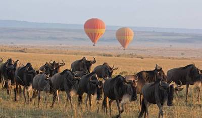 Safari de Balão de Ar Quente no Serengeti (1 Dia) — 3