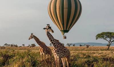 Safari de Balão de Ar Quente no Serengeti (1 Dia) — 4