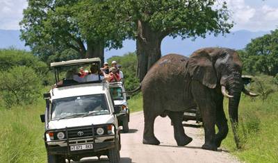 7 Days 6 Nights Migration Wildlife Safari — 5