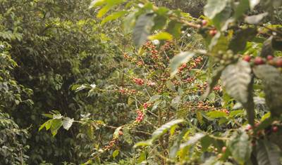 Discover the Unseen Panama 13D/12N — 3
