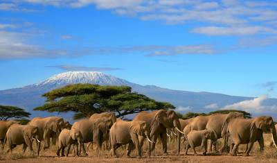 Safari de 3 Dias: O Melhor de Tsavo East e Tsavo West a partir de Mombasa — 3