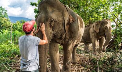 Laos Adventure in 12 Days — 5
