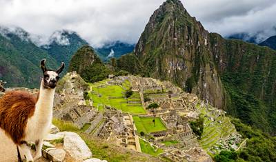 Machu Picchu Tour 2 Days Last Minute Reservation Made Easy — 4