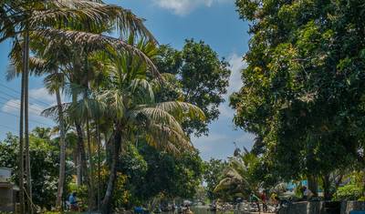 India Essence of Kerala: Hills, Backwaters & Beaches – 11 Days — 2