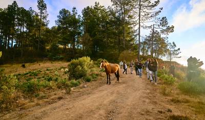 The Enchanting Sierra Norte Trek 3D/2N — 3