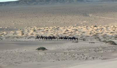 Gobi Tour 7D 6N — 4