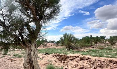 Gobi Tour 7D 6N — 2