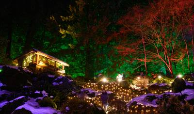 Castles and Festive Winter Wonderland Victoria → Calgary (2026) — 5