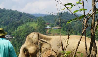 11-Day Thailand Family Tour — 2