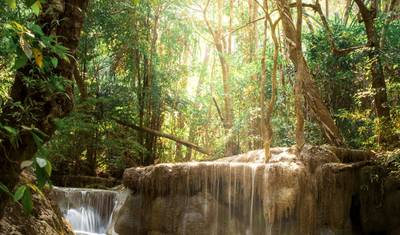 11-Day Thailand Family Tour — 3