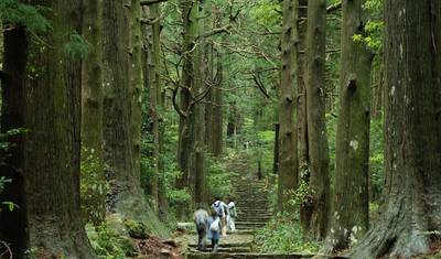 اليابان: Koya-san و Kumano Kodo Trek — 2
