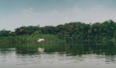 Luxury Northern Zambia Waterfalls & Wilderness Journey13-Day — 3