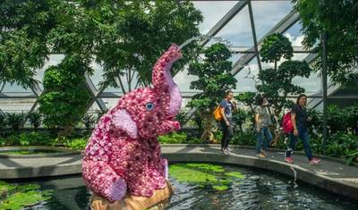 5 Days Singapore Highlights Tour (private guide & driver）Customizable — 2