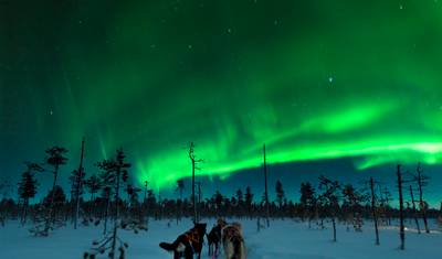 Jewels of Finnish Lapland - 5 days — 2
