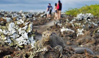 Explorador das Ilhas Galápagos - 7 dias — 5