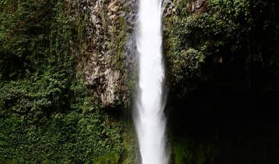 Retiro de Bem-Estar e Aventura na Costa Rica de 8 Dias — 3