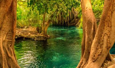 Kikuletwa Hot Springs — 2