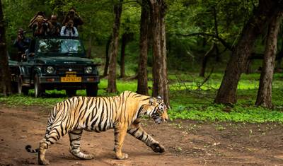 Tour Privado de 8 Dias pelo Triângulo Dourado da Índia com Taj Mahal e Safári de Tigres em Ranthambore – Delhi, Agra, Jaipur e Experiência de Vida Selvagem — 4