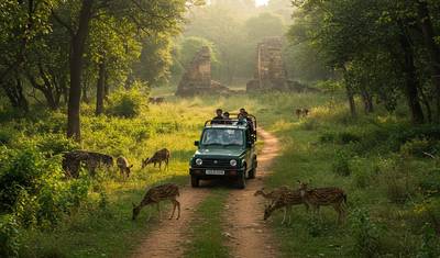 Tour Privado de 8 Dias pelo Triângulo Dourado da Índia com Taj Mahal e Safári de Tigres em Ranthambore – Delhi, Agra, Jaipur e Experiência de Vida Selvagem — 5